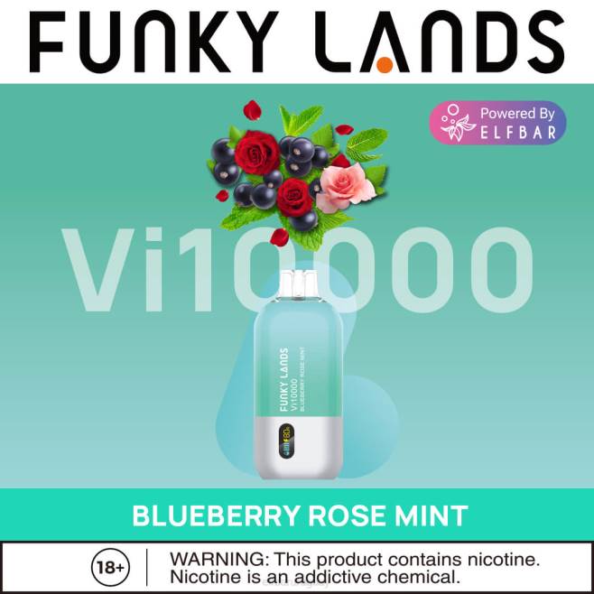 ELFBAR Funky Lands desechables vape vi10000 bocanadas arándano rosa menta VHPV163
